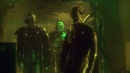 regeneration-489.jpg