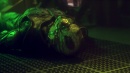 regeneration-530.jpg