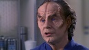 regeneration-594.jpg