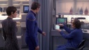 regeneration-596.jpg