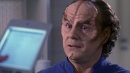 regeneration-597.jpg