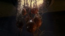 hatchery-333.jpg