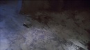 hatchery-378.jpg