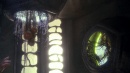 hatchery-397.jpg