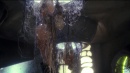 hatchery-401.jpg