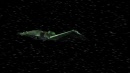 divergence-247.jpg