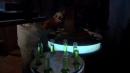 divergence-261.jpg
