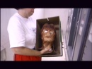 celebratingstartrek_198.jpg