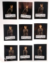 tpol-s1-contact-sheet-b.jpg